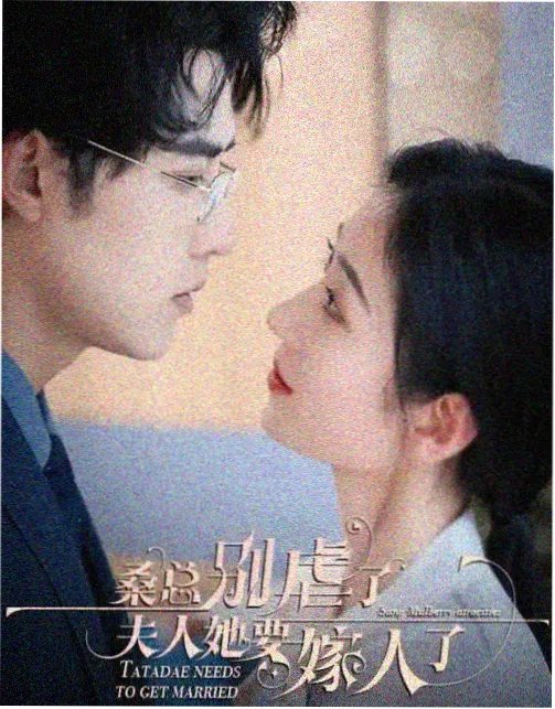 少年不改剧集海报